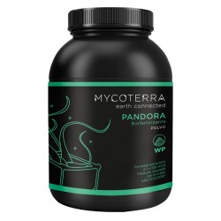 Pandora WP Mycoterra