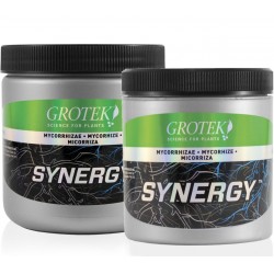 Synergy Grotek