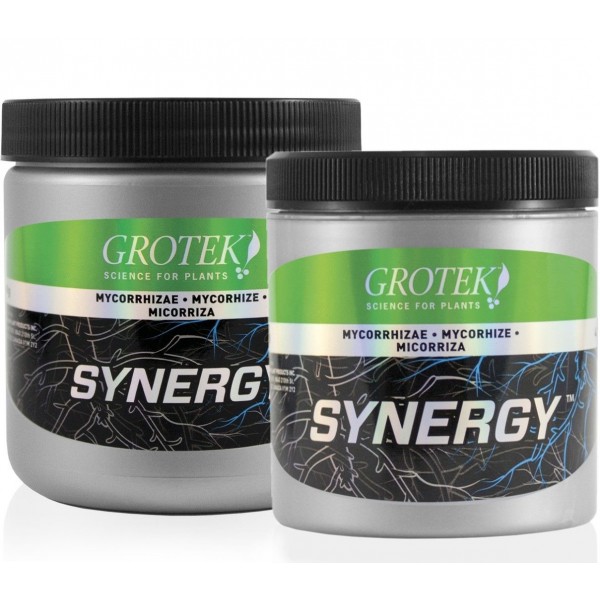 Synergy Grotek