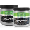 Synergy Grotek