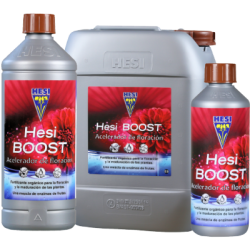 Boost Hesi