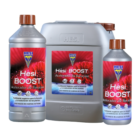 Boost Hesi