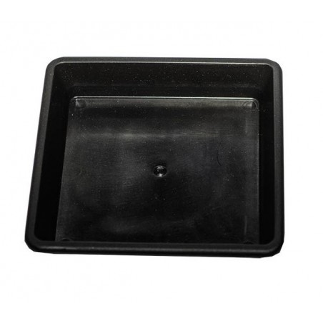 Square Plate