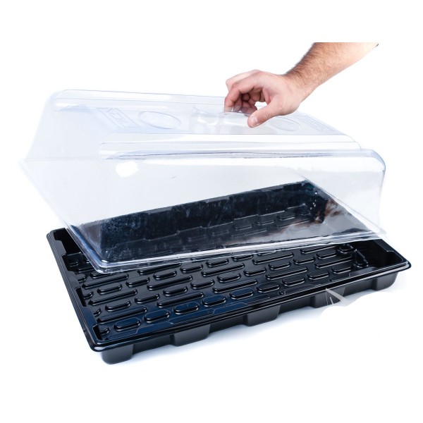 Propagator Eco