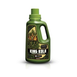 King Kola Emerald Harvest