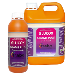 Glucox Grams Plus Trabe