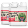 Master Bloom A+B Xpert Nutrients