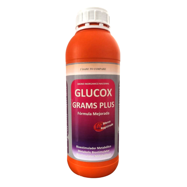 Glucox Grams Plus