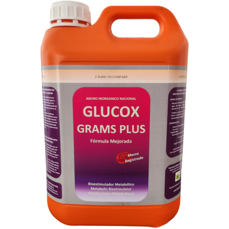 Glucox Grams Plus