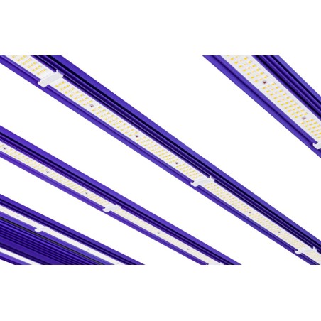 LED 1000W Zeus Pro EVO 3.1 Lumatek