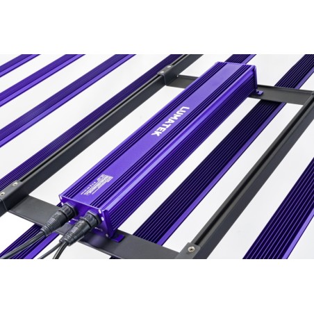 LED 1000W Zeus Pro EVO 3.1 Lumatek