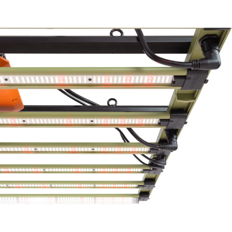 LED 1000W+ GL Treegers