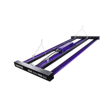 LED 300W Pro 3.1 Lumatek