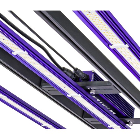 LED 300W Pro 3.1 Lumatek