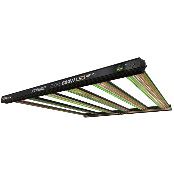 LED 800W Xtreme Series MKII Dimlux