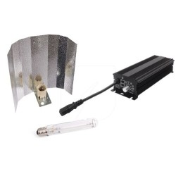 Vanguard 600W Lighting Kit (Stuco)