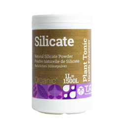 Silicate Terra Aquatica