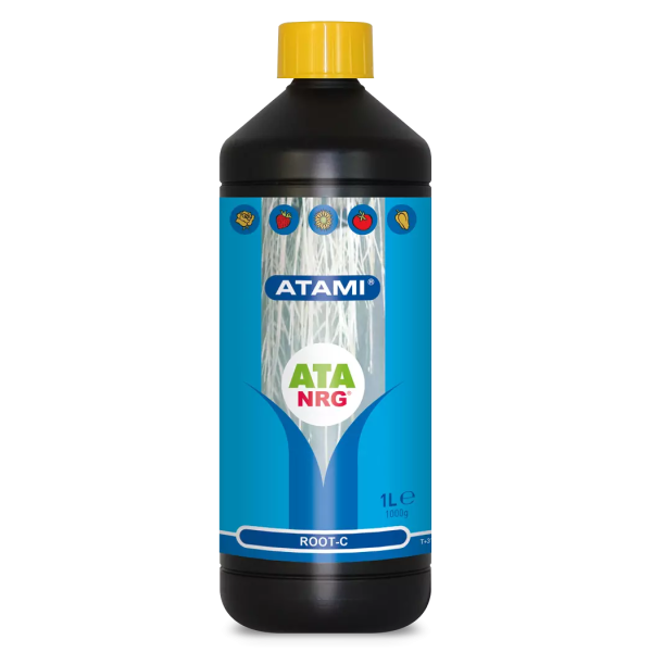Root-C Atami