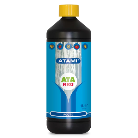 Root-C Atami