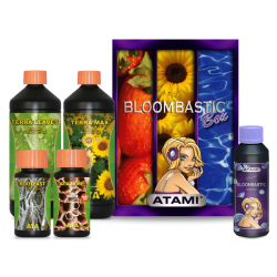 Bloombastic Box Atami