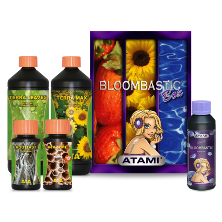 Bloombastic Box Atami