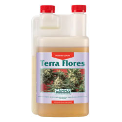 Terra Flores Canna