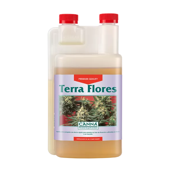 Terra Flores Canna