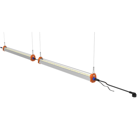 Canopy LED B120W Ignator