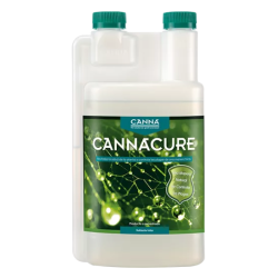 Cannacure Canna