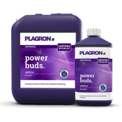 Power Buds Plagron