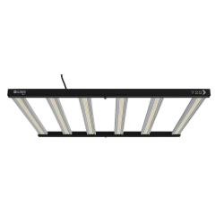 LED 720W XLED Lumii