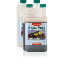 Aqua Vega