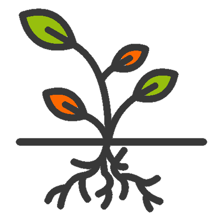 Microorganismos y Bacterias